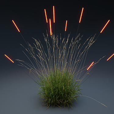 Glowing Calamagrostis_arundinacea 3D model image 1 