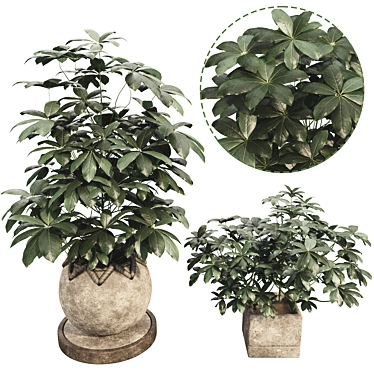 48-Piece Umbrella Tree Plant Collection 3D model image 1 