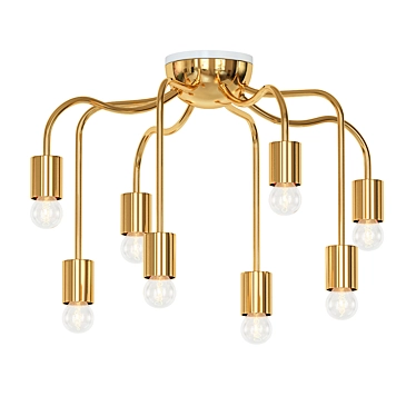 Elegance Illuminated Ceiling Light 3D model image 1 