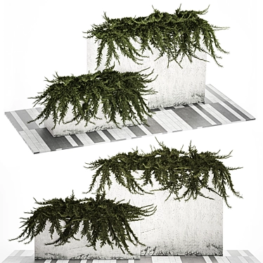 Urban Oasis Planter Collection 3D model image 1 