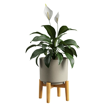 Tropical Peace Lily Potted Green 3D model image 1 