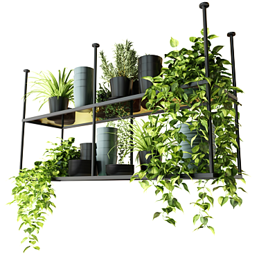 Hanging Plant Shelf for Kitchen 3D model image 1 