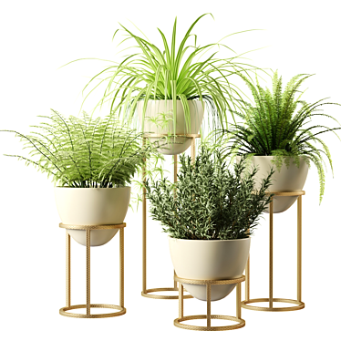 Egg-shaped Indoor Plants Display 3D model image 1 