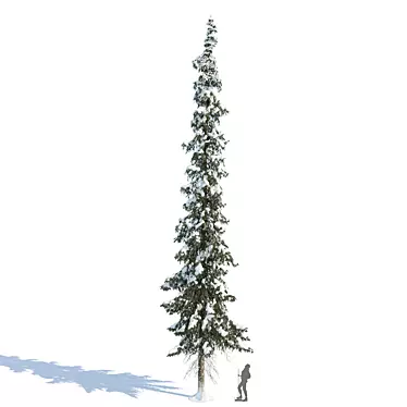 Winter Taiga Spruce (20m) 3D model image 1 