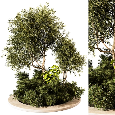 Lush Outdoor Plant 204 Display 3D model image 1 