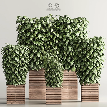  Contemporary Indoor Plant Set 97 3D model image 1 