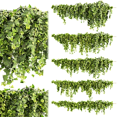 Ivy Fitowall Outdoor Plant Collection 3D model image 1 