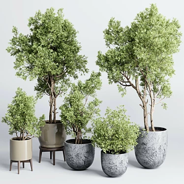 Vintage Concrete Vase Outdoor Trees 3D model image 1 