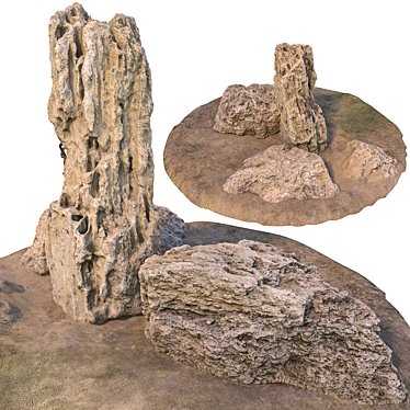  Lizard Stone Set with Grass 3D model image 1 