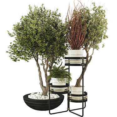 Plant Collection Set 55 _ Decorative Potted Tree on Metal Shelf