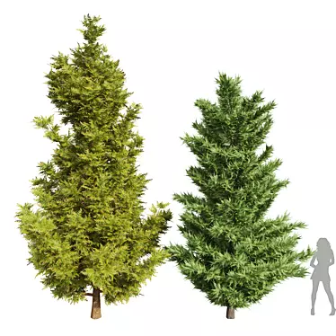 High Detail Leyland Cypress Tree 3D model image 1 