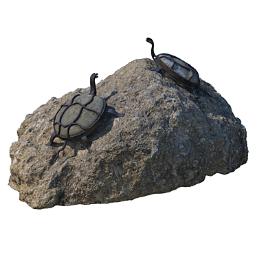 Decorative Stone with Turtle Accents 3D model image 1 