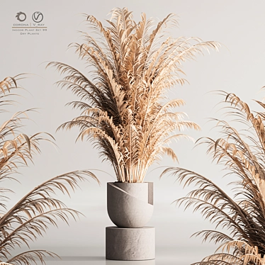 Modern 99 Dry Indoor Plants 3D model image 1 