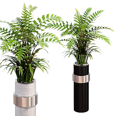 Botanically Inspired Indoor Fern Plants 3D model image 1 