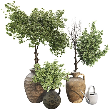 Plant Collection Set 60 Decorative Potted Tree