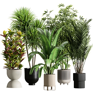 Modern Indoor Plant Set 56 3D model image 1 