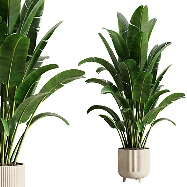 Innovative Indoor Plant Set 59 3D model image 1 