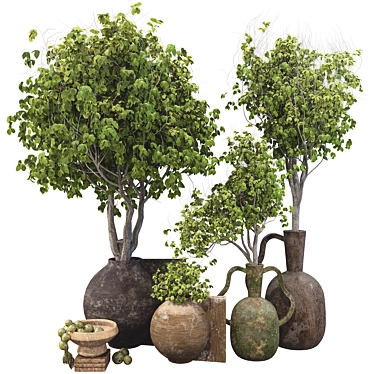 Plant Collection Set 64 _ Decorative Potted Tree