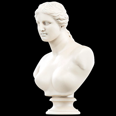 Venus De Milo Goddess Bust 3D model image 1 