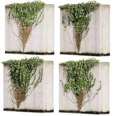 Premium Ivy Outdoor Plant Model 3D model image 1 