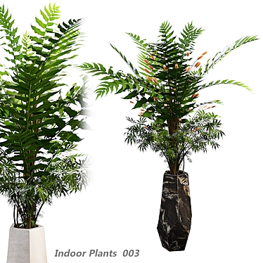 Botanical Beauty Fern Plants 3D model image 1 