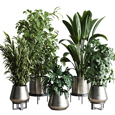 Multifarious Indoor Plant Set 3D model image 1 