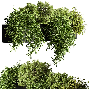 Translation is not required. 

Hanging Plant 476 - Indoor Beauty 3D model image 1 