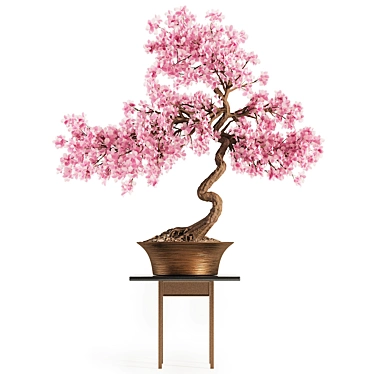 Blooming Bonsai Spring Flowers 3D model image 1 