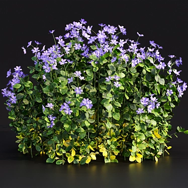 Periwinkle Floral Plants Collection 3D model image 1 