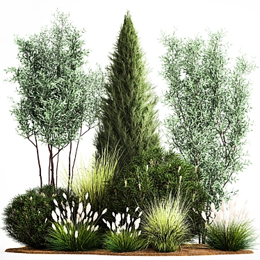 Evergreen Landscape Plant Collection 3D model image 1 