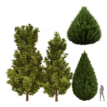 Versatile 3D Plant Models Set 3D model image 1 