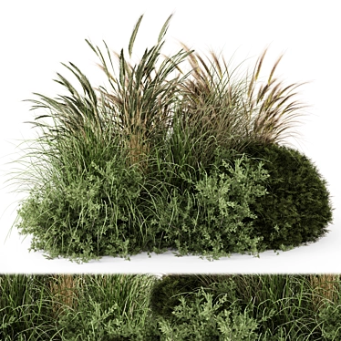 Outdoor Plants Bush Collection: V-Ray/Corona 3D model image 1 