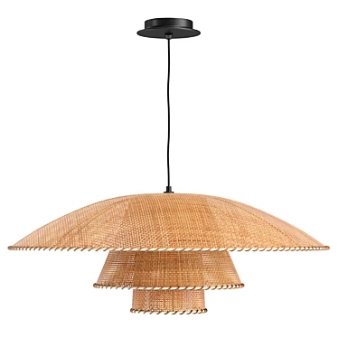 Vintage Rattan Pendant Lamp Fixture 3D model image 1 