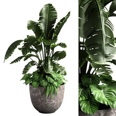 Versatile Combo Plant Models Pack 3D model image 1 