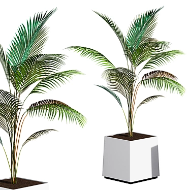 Artificial 75cm Areca Palm Plant 3D model image 1 