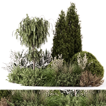  Bush Collection: Outdoor Plants 3D model image 1 