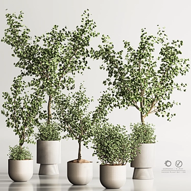 Modern Indoor Plant Set Design 3D model image 1 