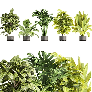 High-Quality Collection Plant Models 3D model image 1 