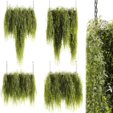 High-Quality Hanging Plant Model 3D model image 1 