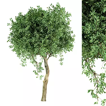 Unique Tree No.20 Sculpture 3D model image 1 