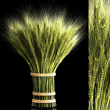 Eco Wheat Spikelet Decor 3D model image 1 