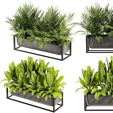 Premium Indoor Palm Banana Plant 3D model image 1 