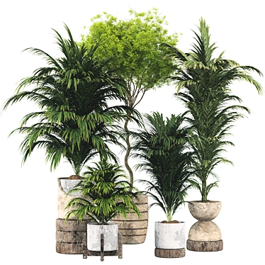 Botanical 3D Plant Collection: Areca Palm 3D model image 1 