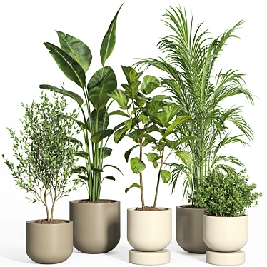  Modern Indoor Plant Set 3D model image 1 