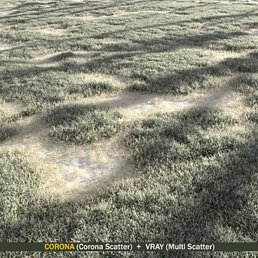 Winter Grass Pack: 3D Scatters 3D model image 1 