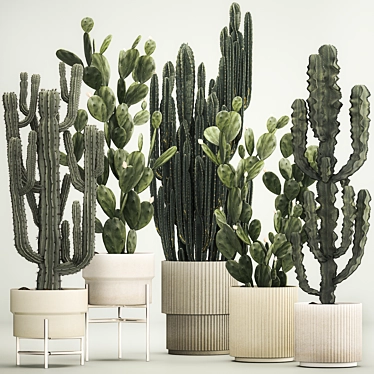 Desert Cacti Collection in Concrete Planters 3D model image 1 