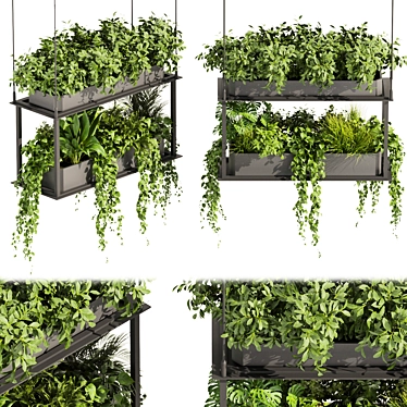 Premium Hanging Plant Collection - HD Quality 3D model image 1 