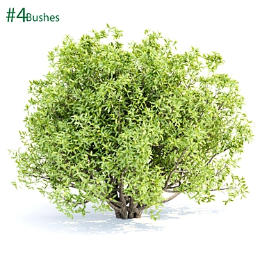 Premium Bush Collection Vol. 191 3D model image 1 