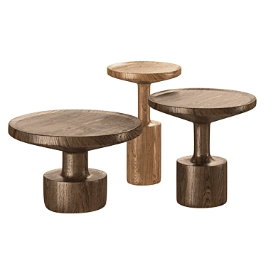 Modern Wooden Coffee Tables Set 3D model image 1 