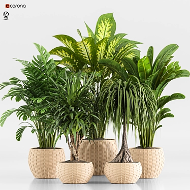 TurboSmooth Wicker Indoor Plant Set 3D model image 1 